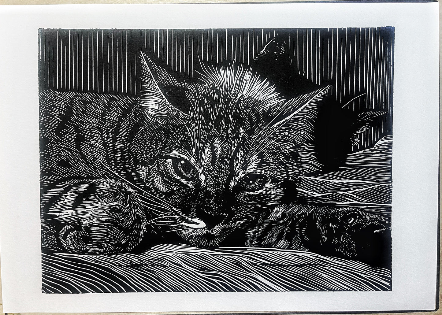 KAT